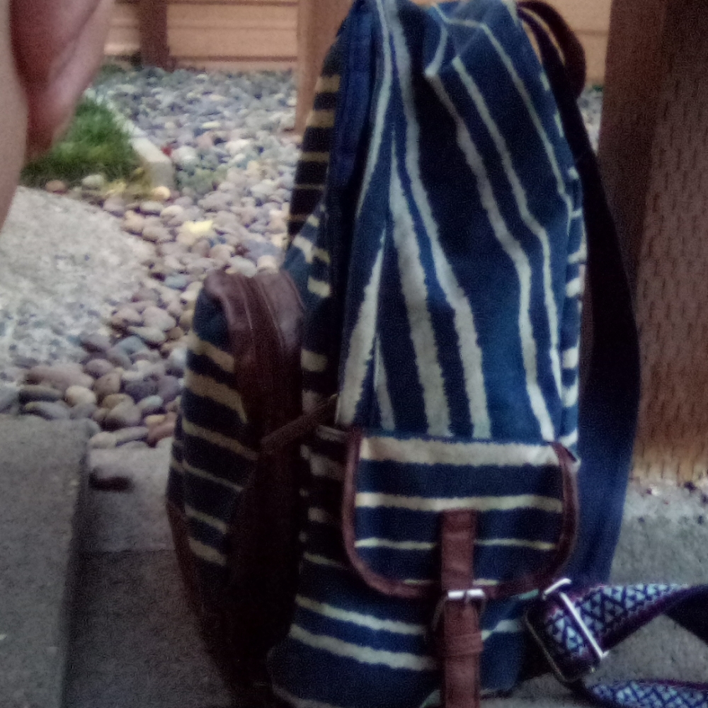 Backpack - Picture 2 of 3